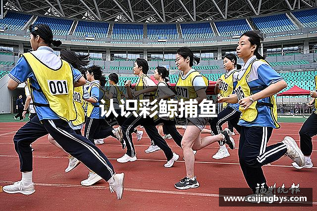 认识彩鲸捕鱼
